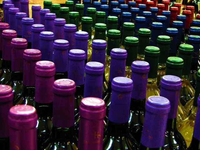 Catalan Wines a close up of a bottle
