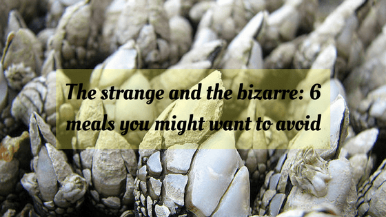 The strange and the bizarre: 6 meals you might want to avoid a close up of an animal