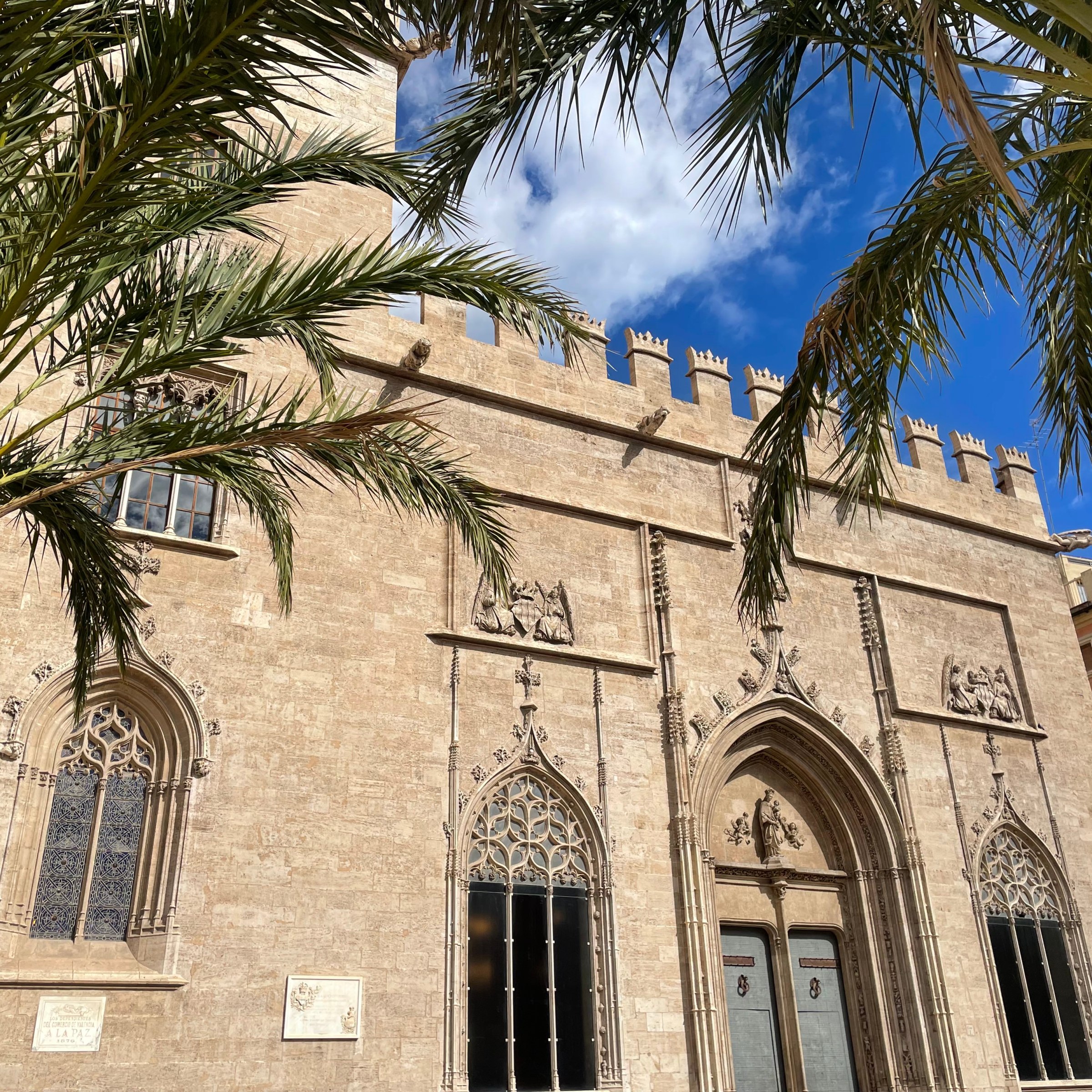 a large tree in front of a building