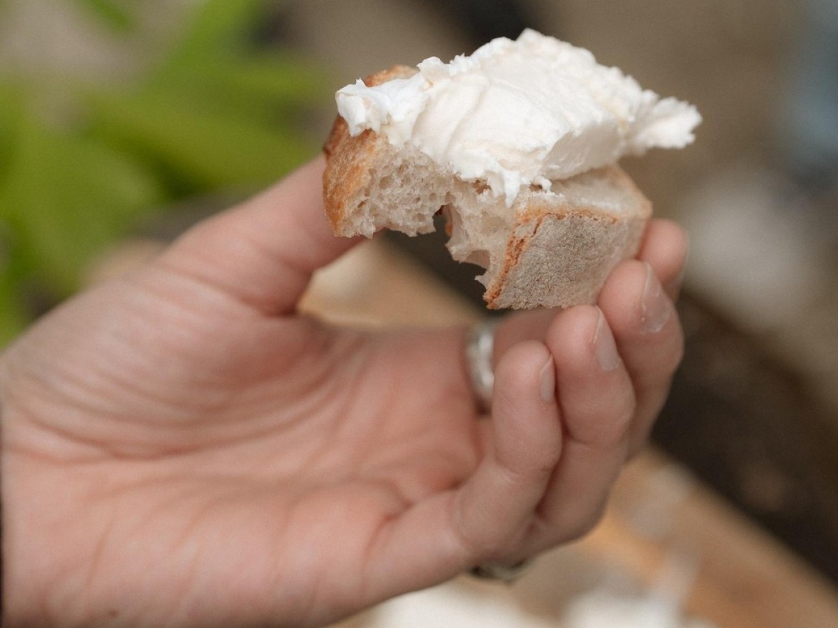 a hand holding a piece of food